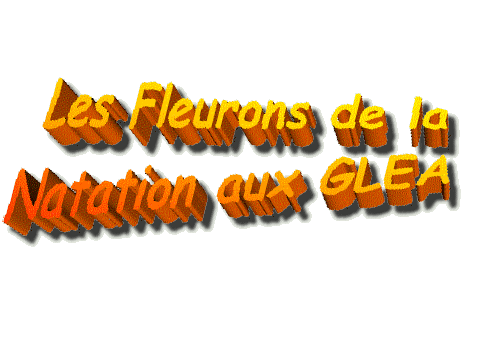 natation3